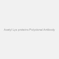 Acetyl Lys proteins Polyclonal Antibody